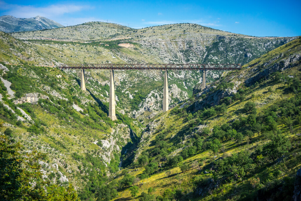 Šine koje pamte 2 shutterstock 1148882594 copy