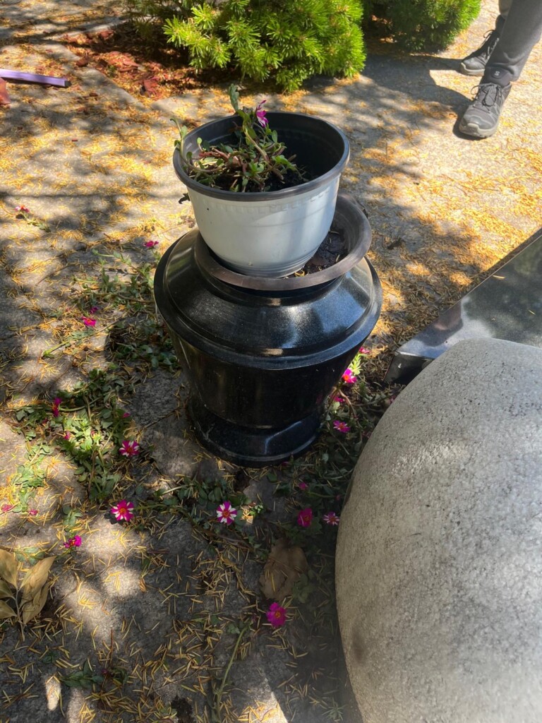Vandalizovan grob dr Zorana Đinđića 4 659b5c17 4bc6 449c 9026 e3723607a743