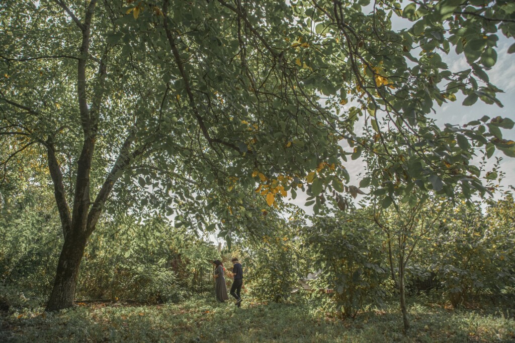 IMAGO still4
