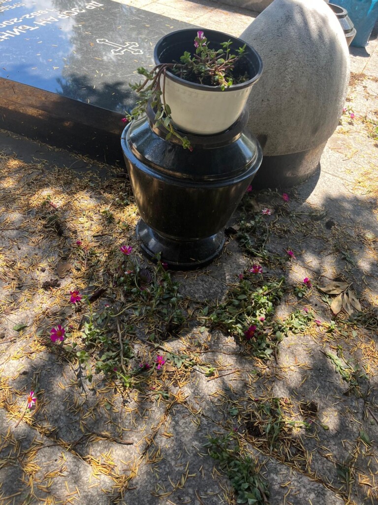 Vandalizovan grob dr Zorana Đinđića 2 f1b7c878 f385 4471 8ab4 d083758e0f54