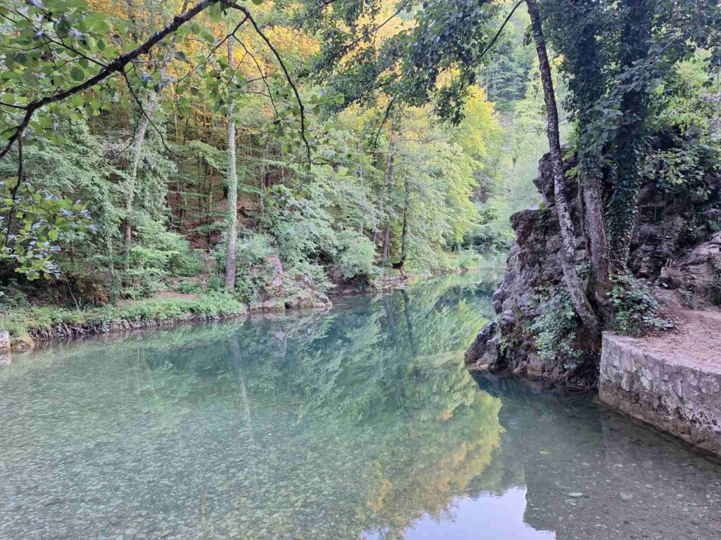 Veliki Rzav, još veći problemi 6 IMG 0959