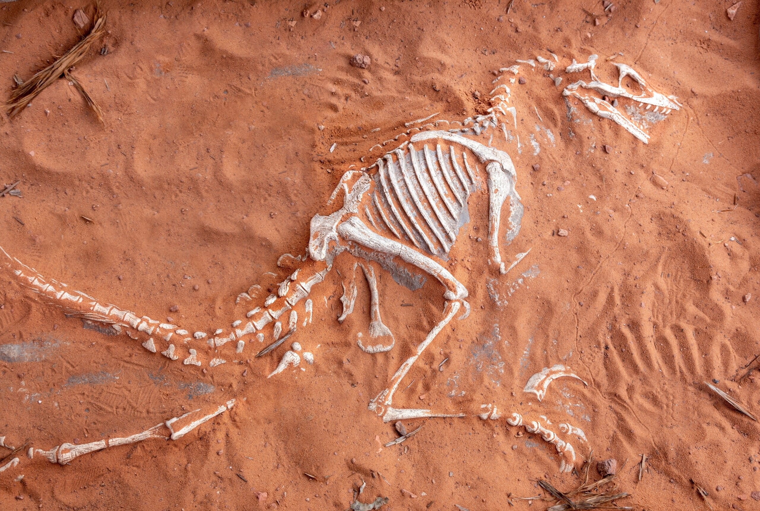 Milijarderi i dinosaurusi 1 shutterstock 2475444311