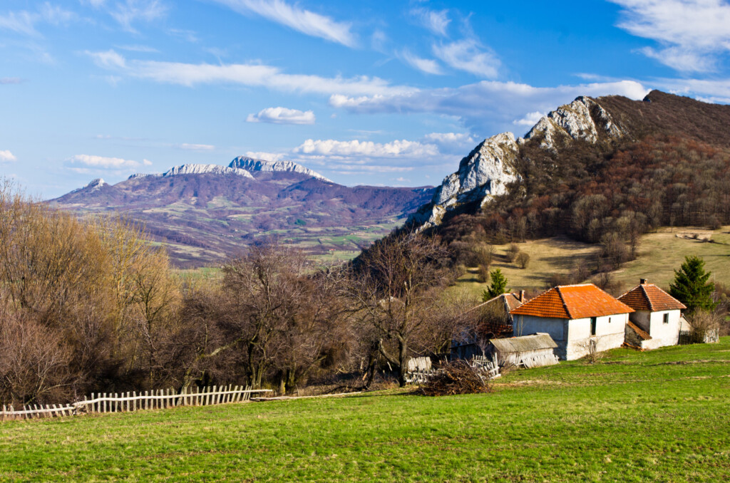 shutterstock 354957002