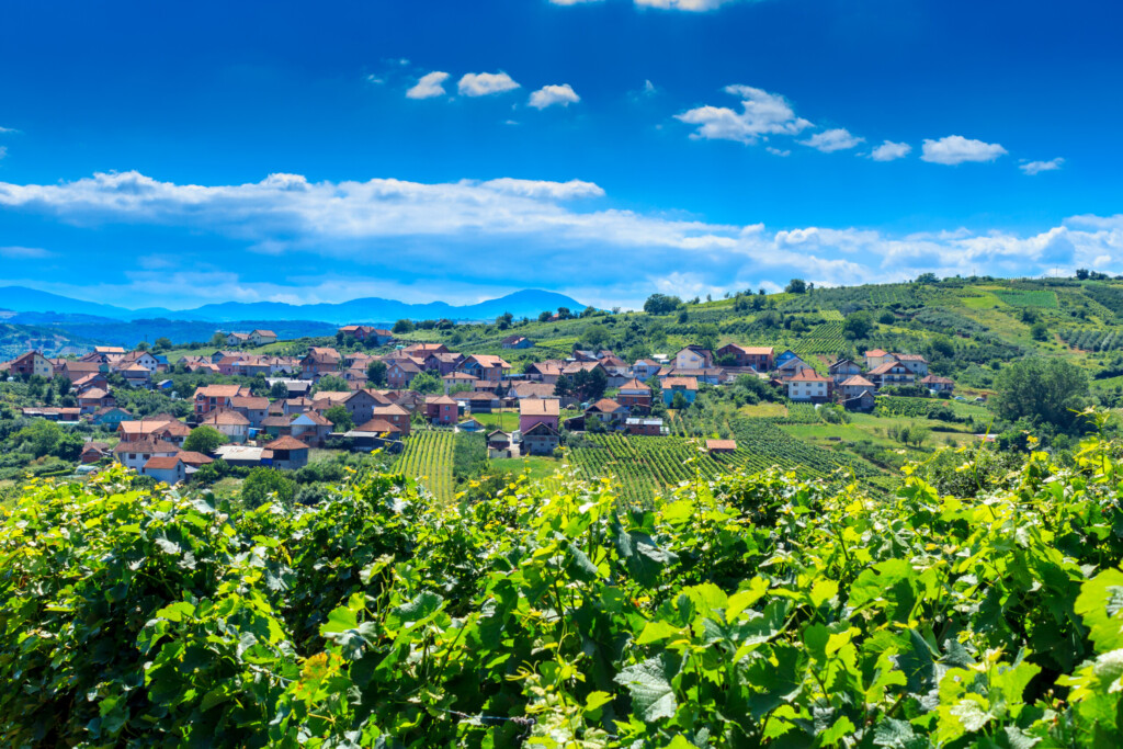 Vino, meze i miris smeća 2 shutterstock 447850894